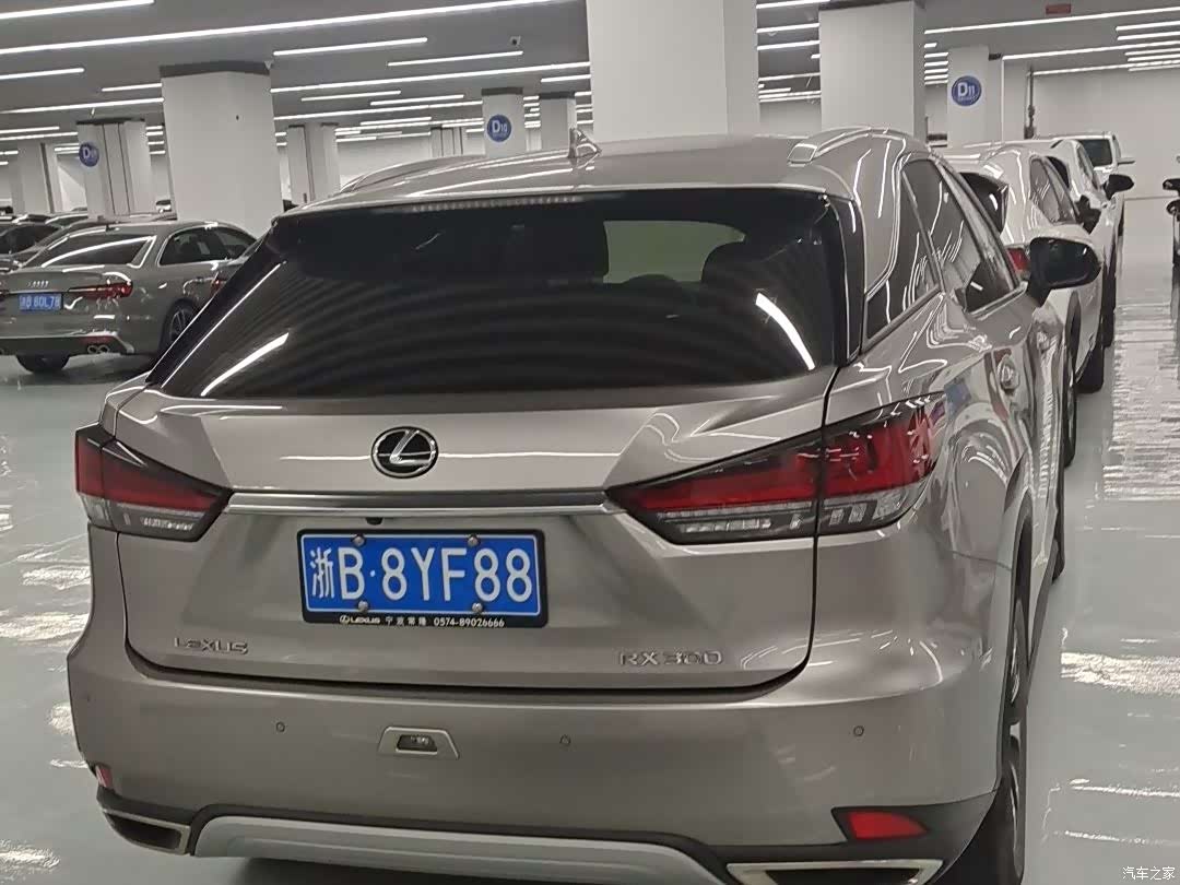 Lexus RX, 2022 4