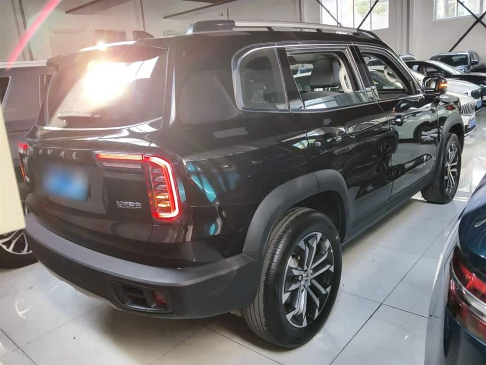 Haval Big dog
