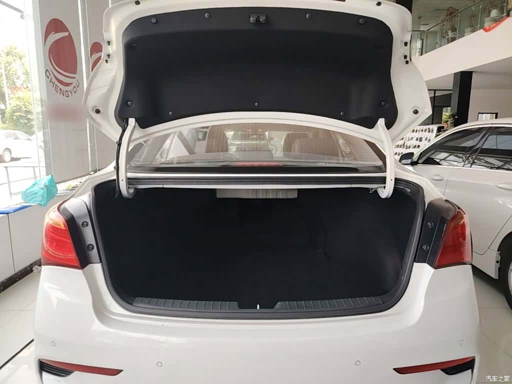 Hyundai GLS, 2017 19