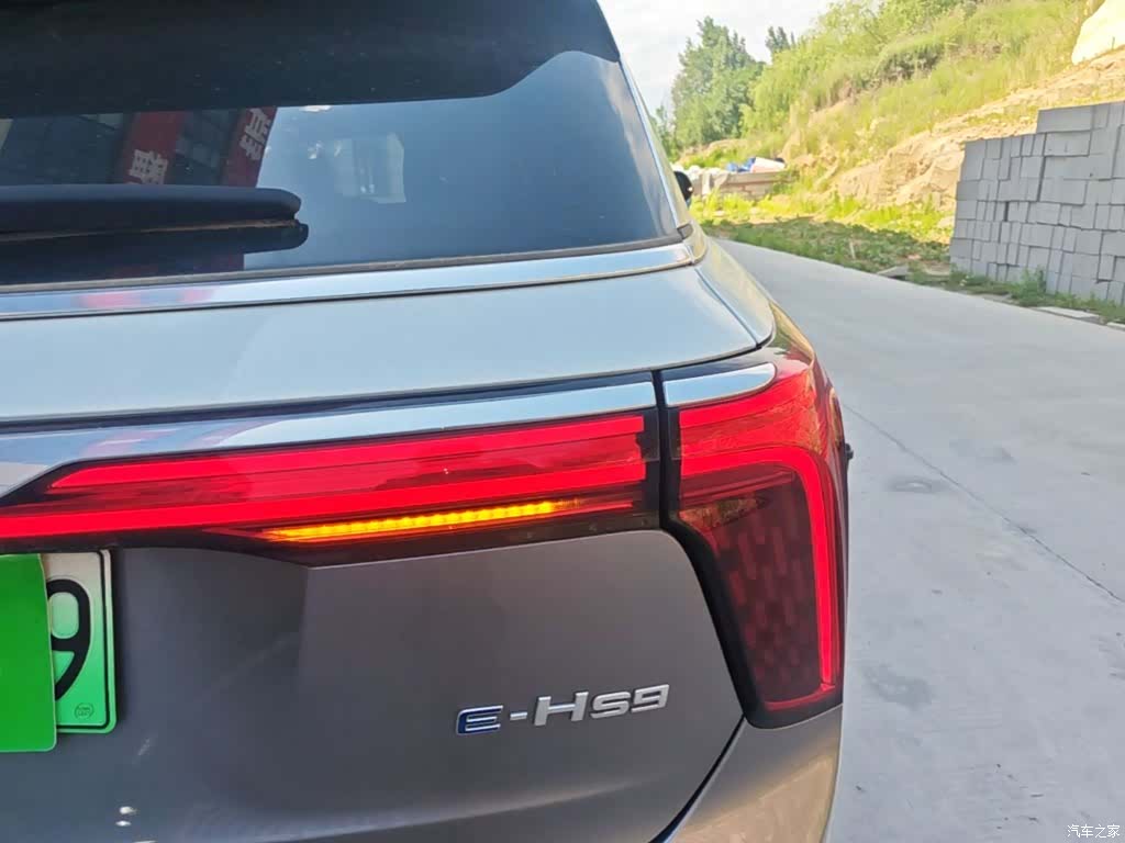 Hongqi E-HS9, 2023 8