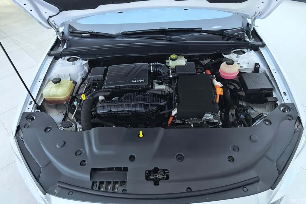 BYD ń PLUS, 2022 10