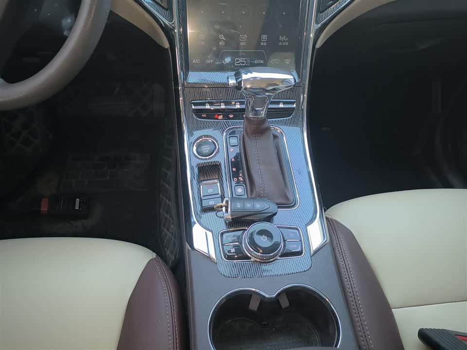 Leopaard Cheetah CS9