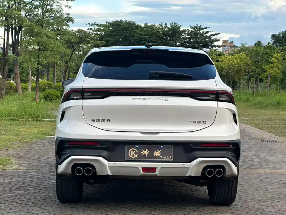 Forthing Popular T5 EVO