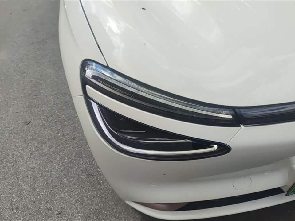 Dongfeng Nammi Nano 01