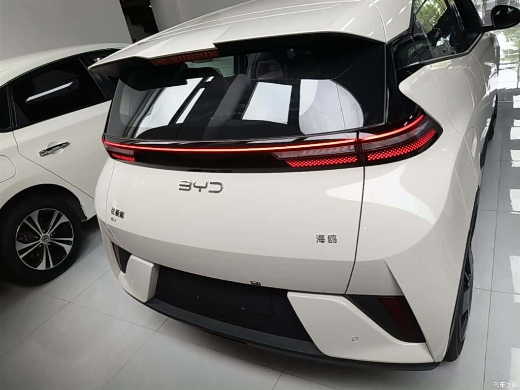 BYD Seagull, 2026 6