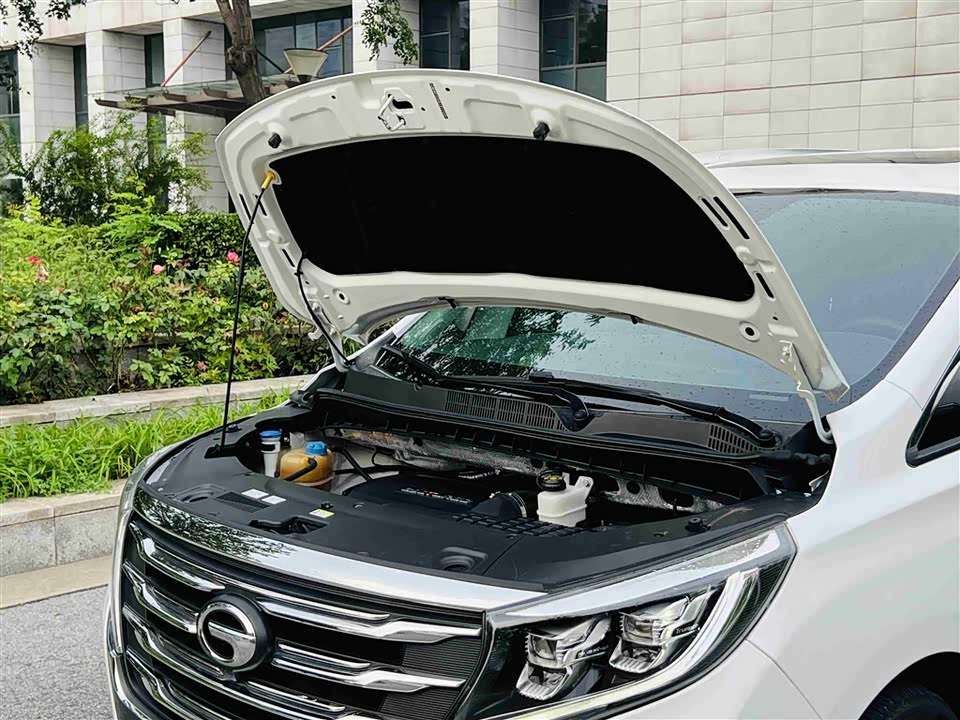 Trumpchi Trumpchi M8