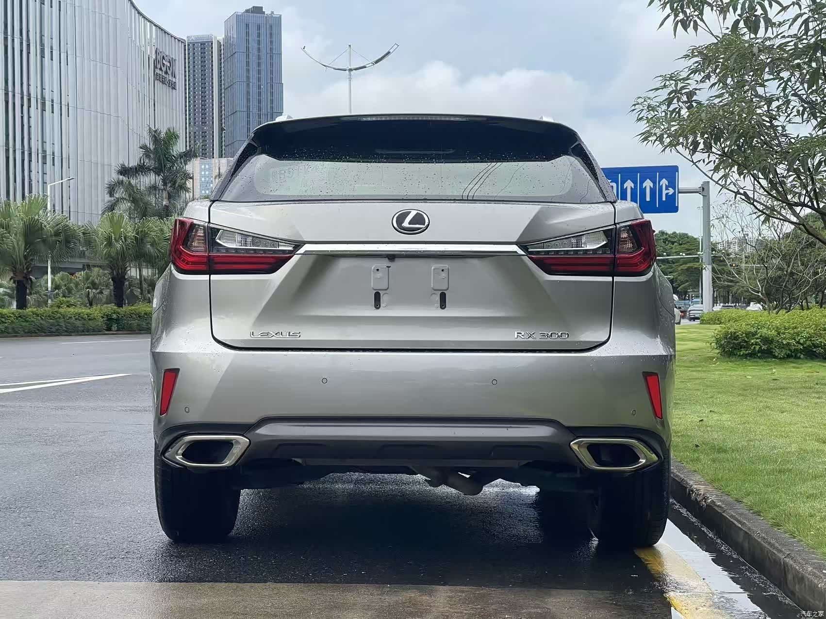 Lexus RX, 2019 все фото