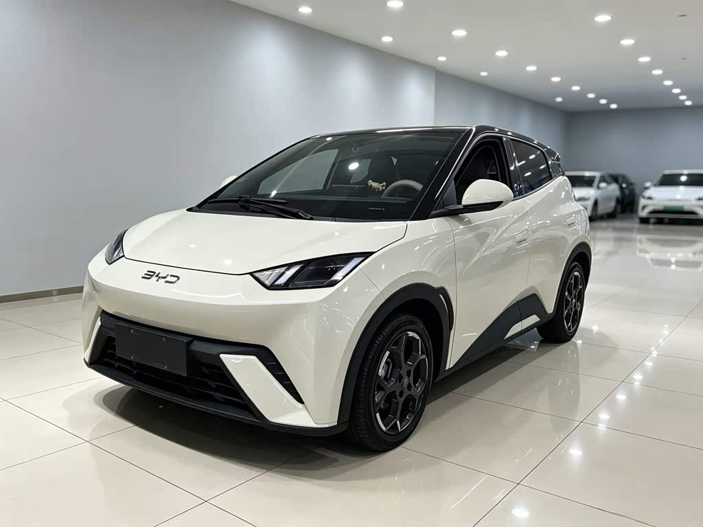 BYD Seagull