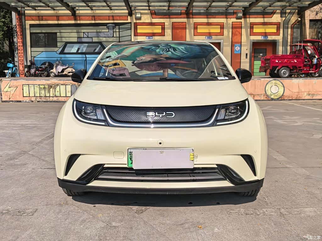 BYD Dolphin, 2024 2
