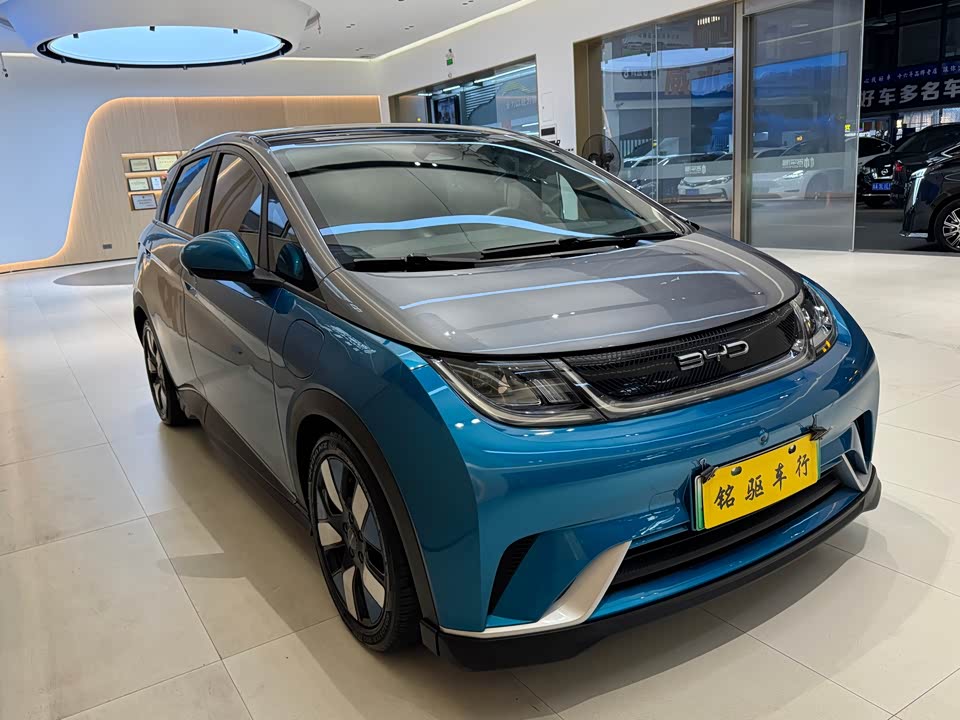 BYD dolphin