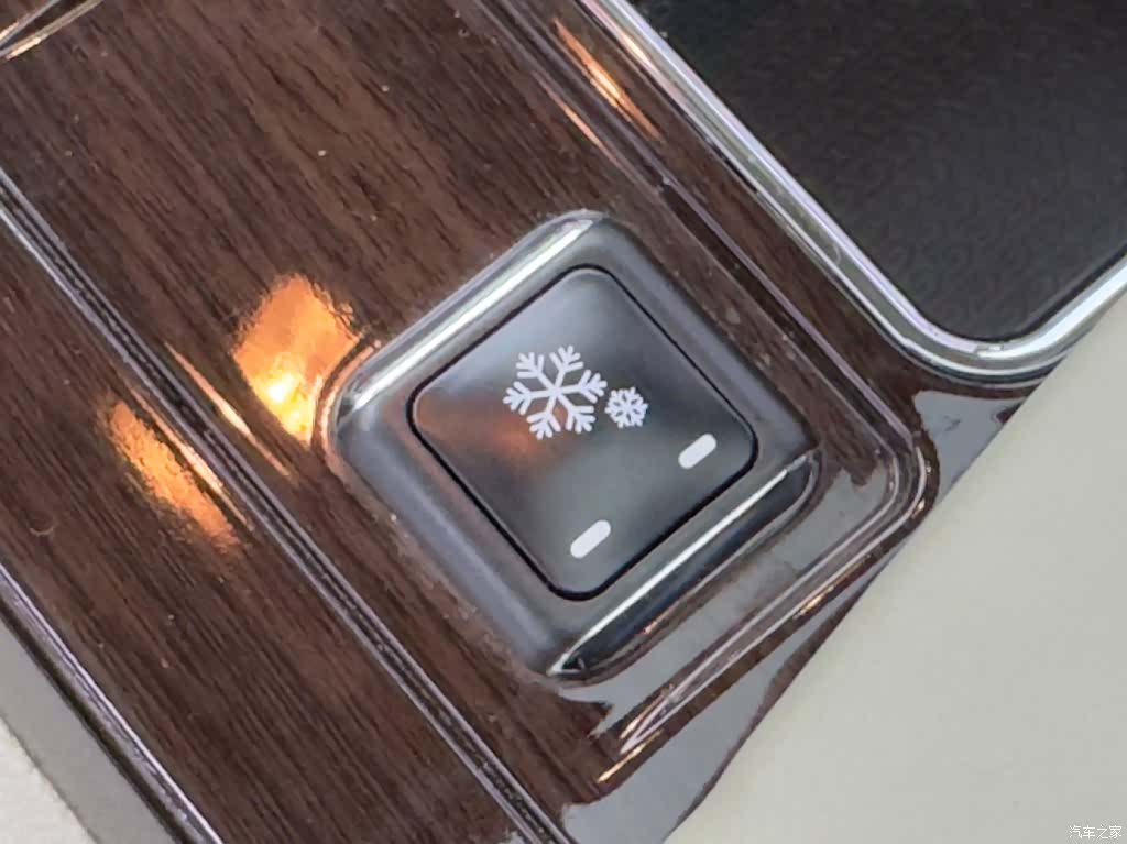 Toyota XLE, 2019 17