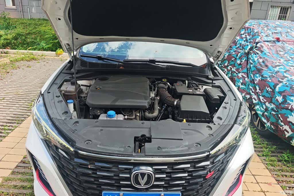 Changan Eado, 2022 10