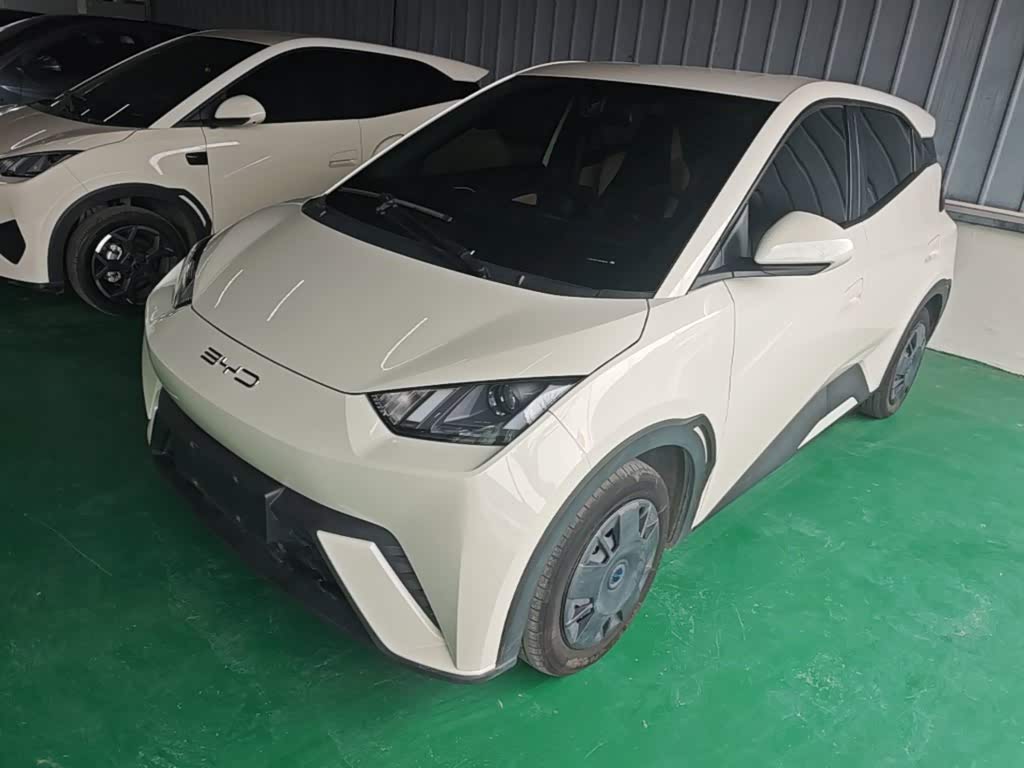 BYD Seagull