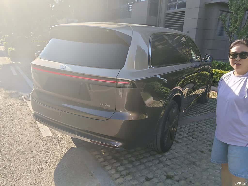Li Auto L9, 2026 все фото