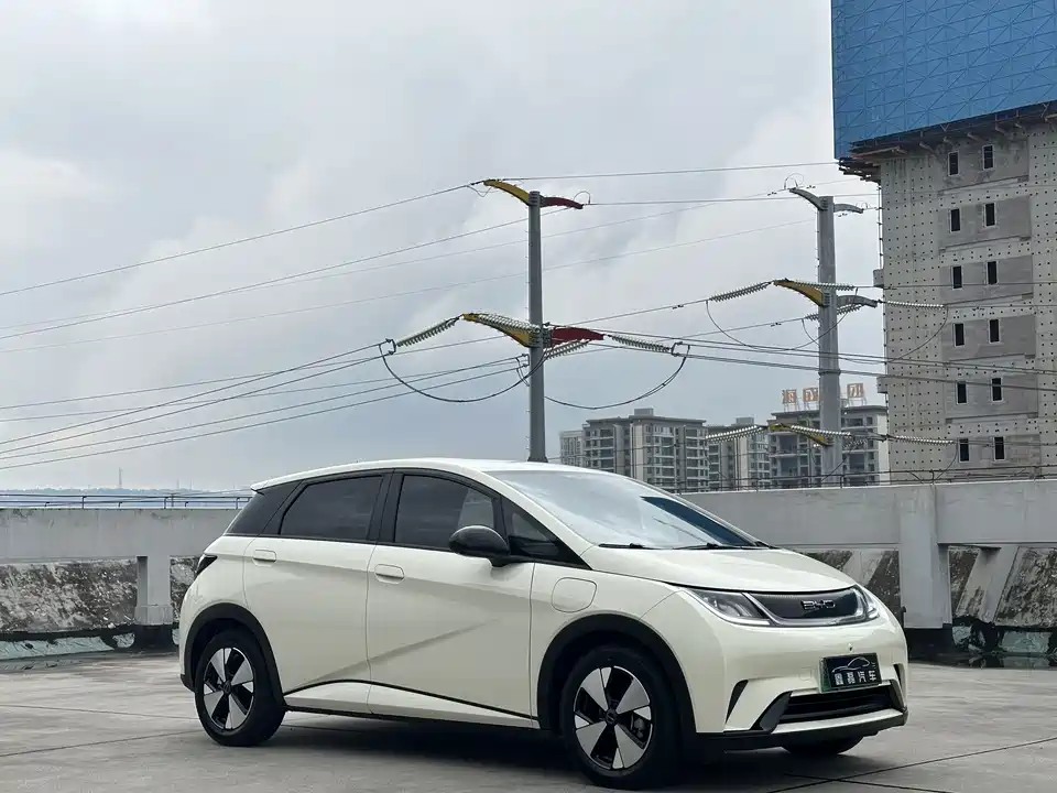 BYD dolphin BYD dolphin