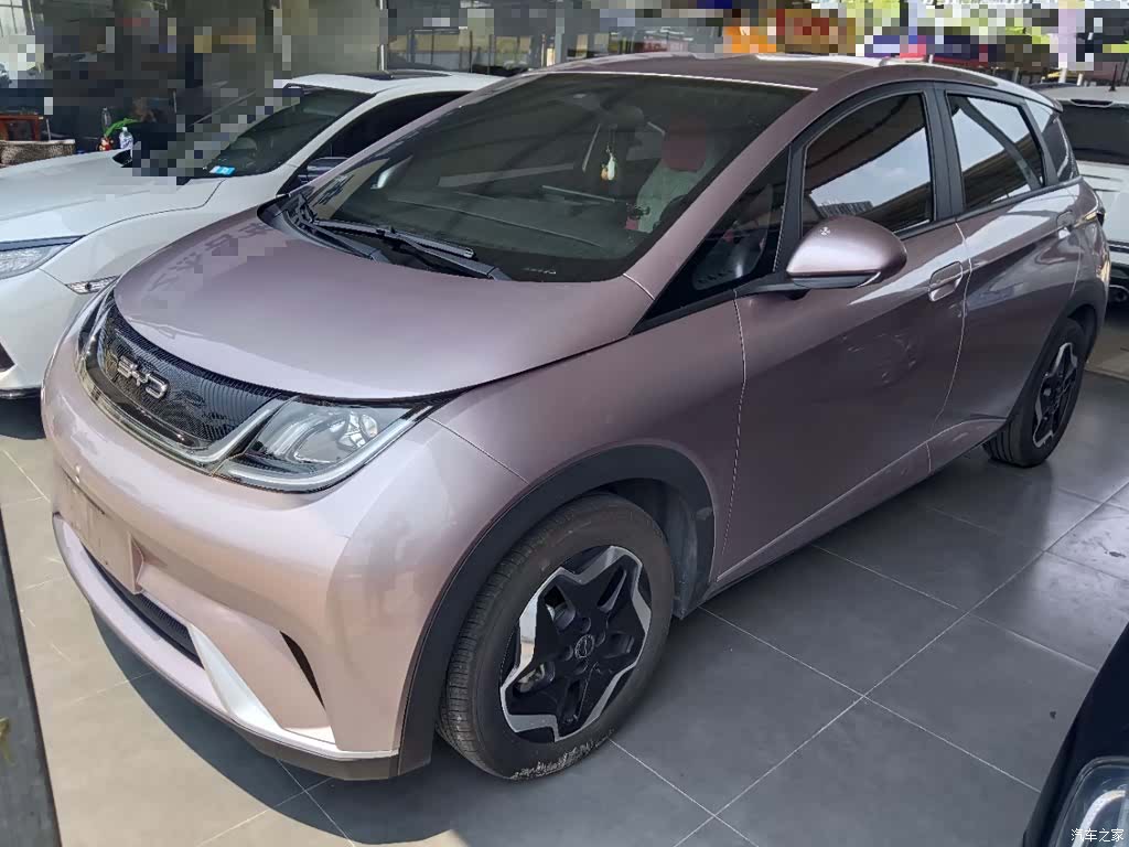BYD Dolphin, 2022 1