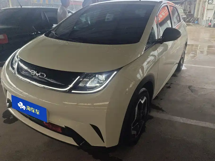 BYD dolphin