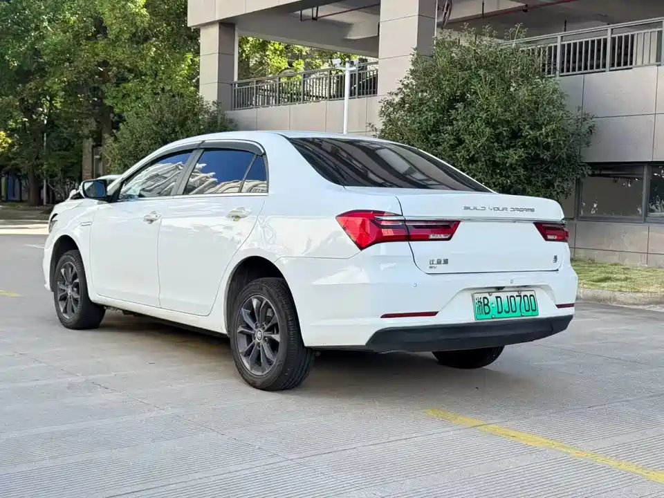 BYD Qinxin Energy