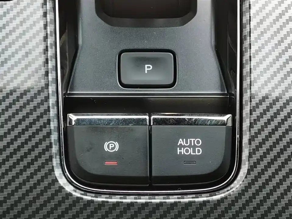 Trumpchi Shadow Leopard