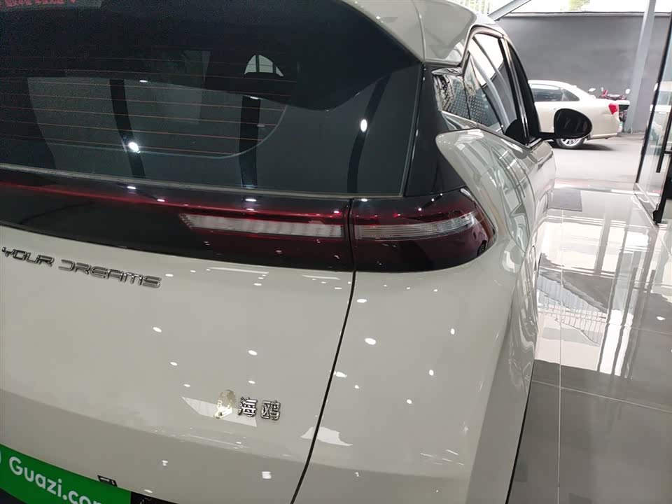 BYD Seagull
