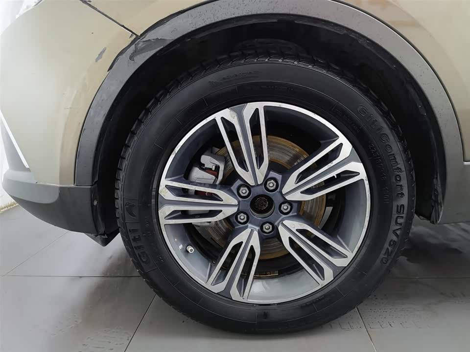 Leopaard Cheetah CS10