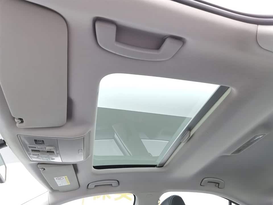 Skoda Speed pie Skoda Speed pie