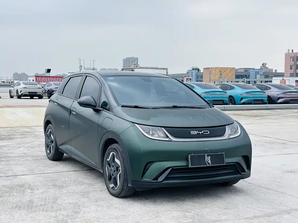 BYD dolphin BYD dolphin