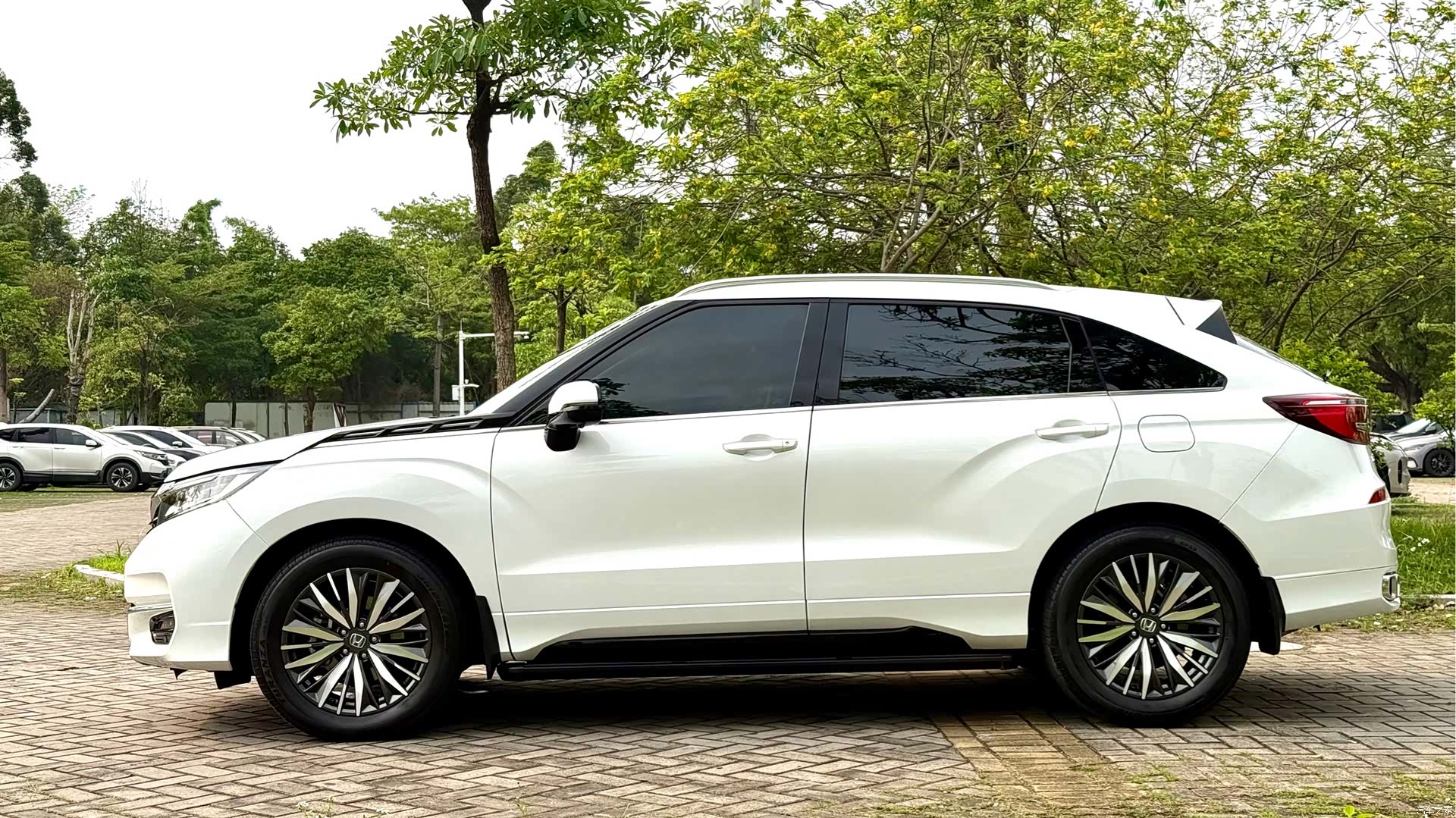 Honda Avancier, 2023 все фото