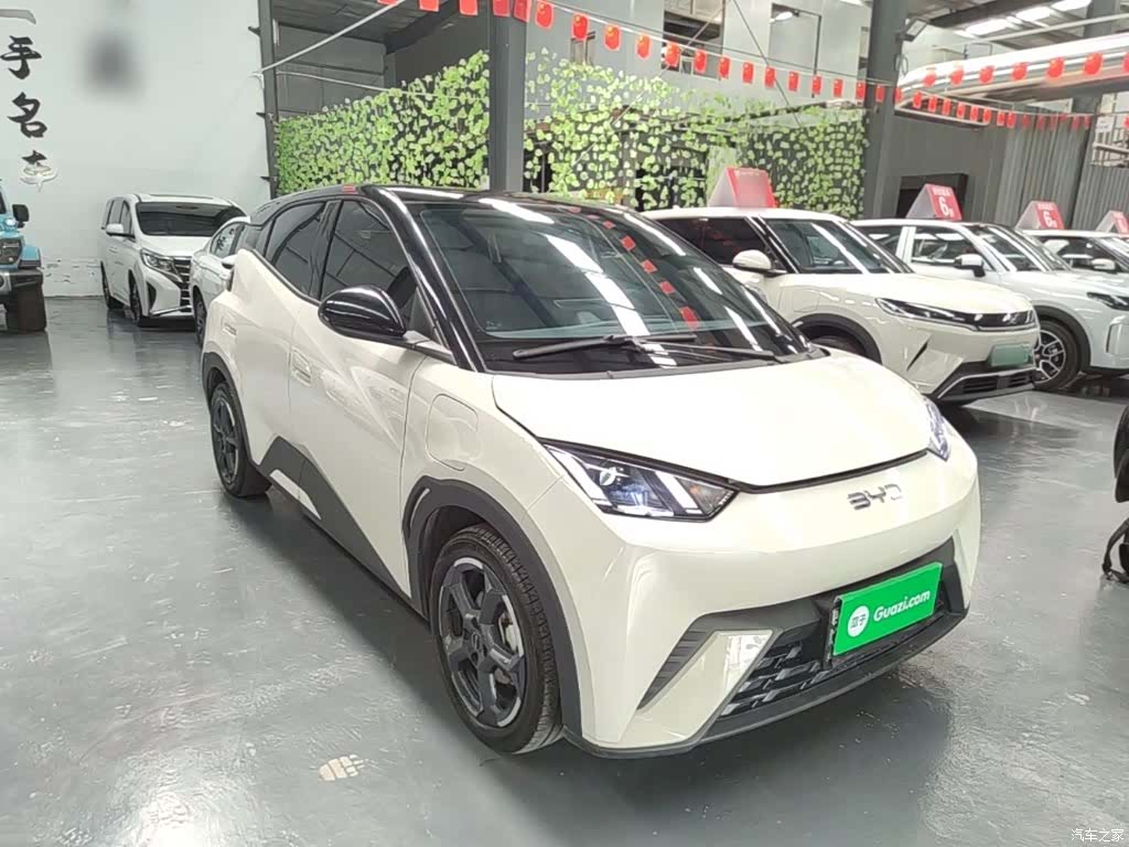 BYD Seagull, 2024 4
