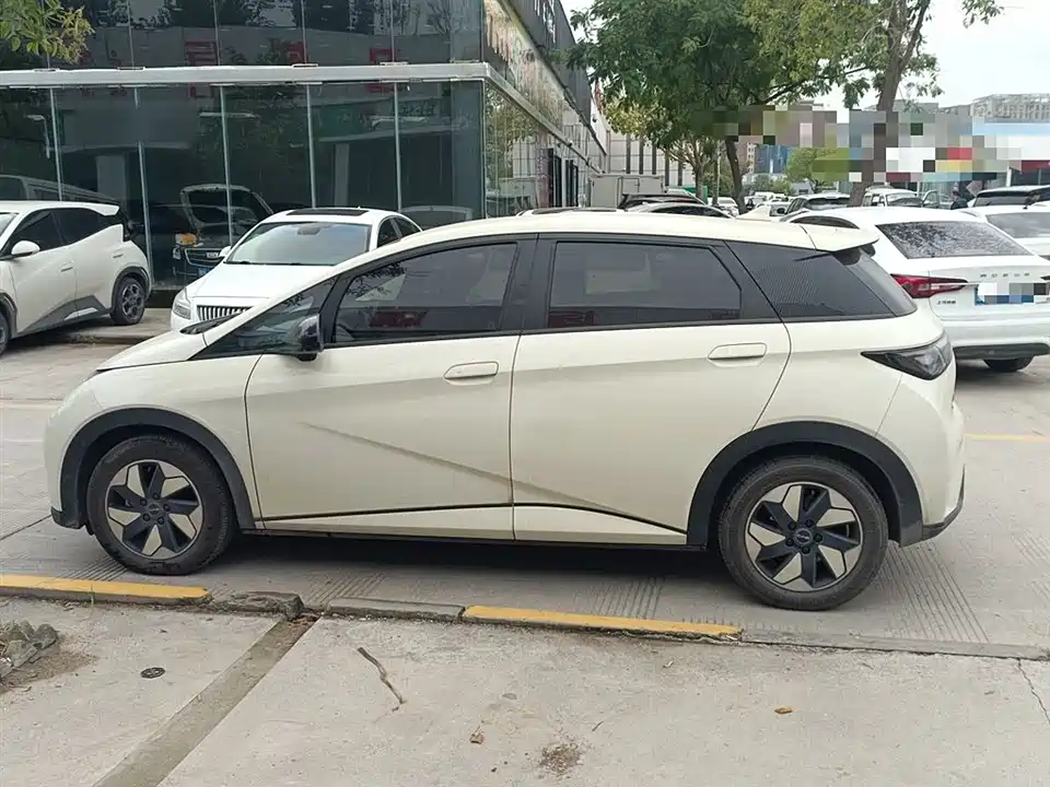 BYD dolphin BYD dolphin