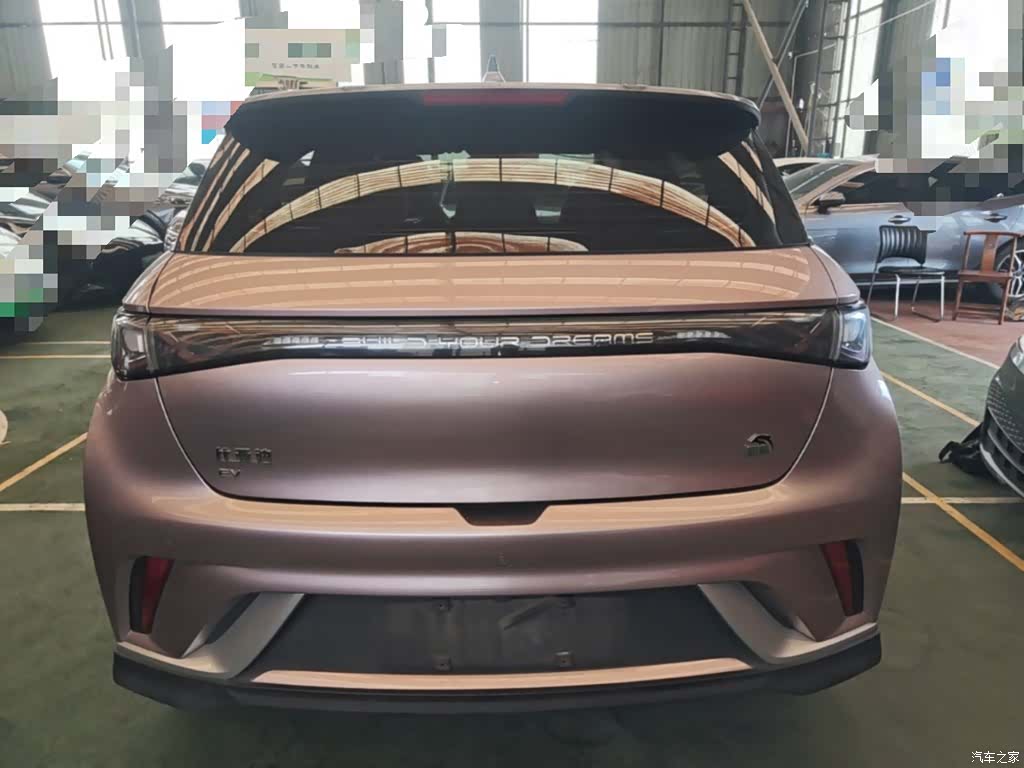 BYD Dolphin, 2022 6