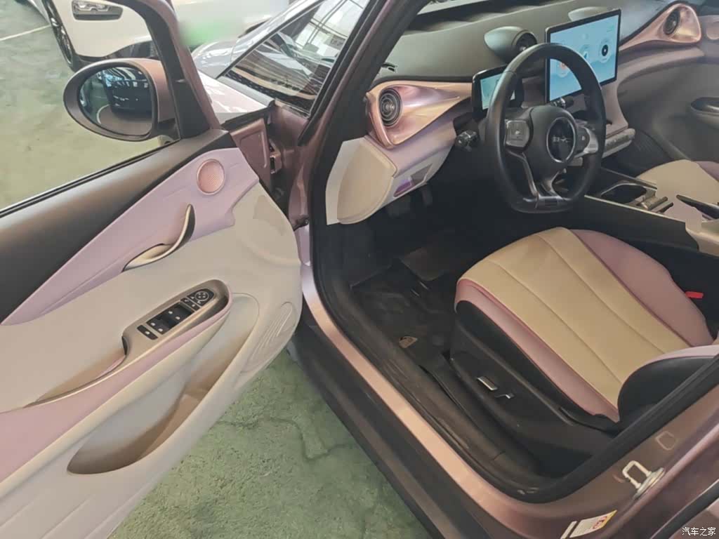 BYD Dolphin, 2022 16