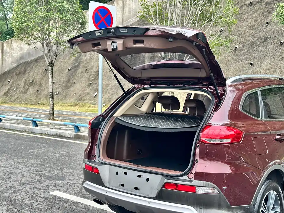 Leopaard Cheetah CS10