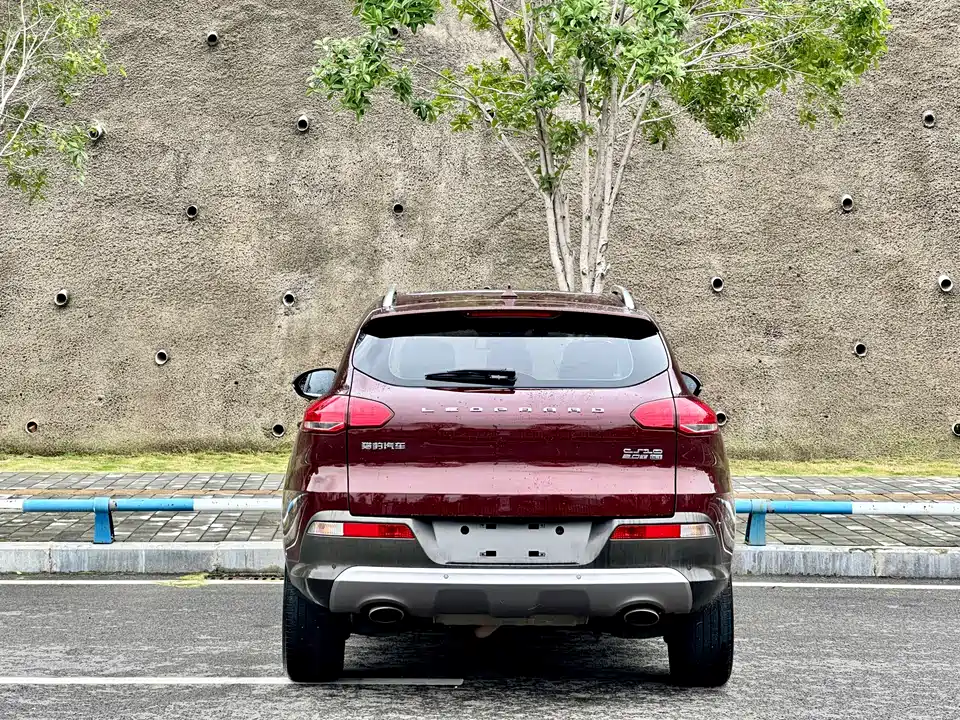 Leopaard Cheetah CS10