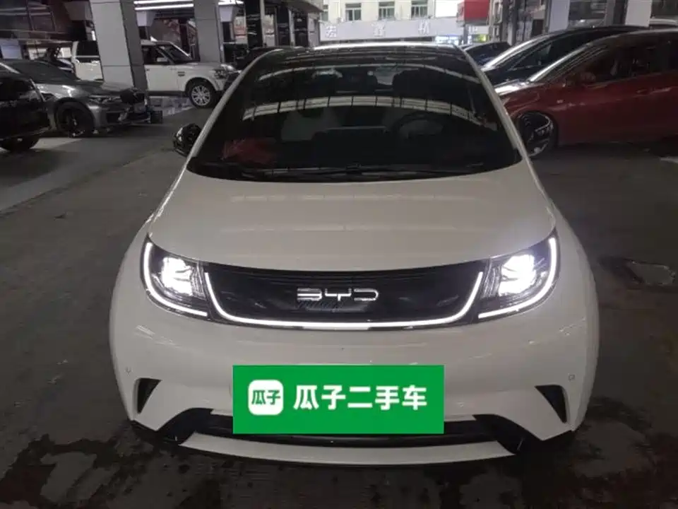 BYD dolphin