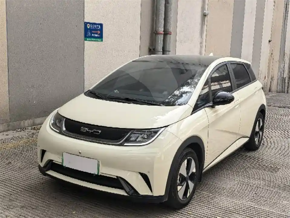 BYD dolphin