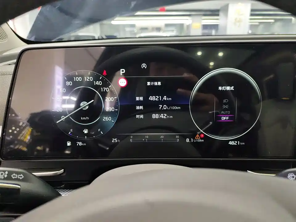 Kia Lion Platinum expands the world