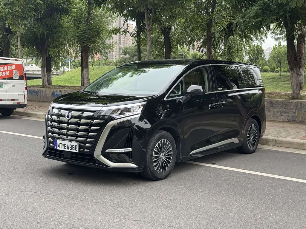 Denza D9