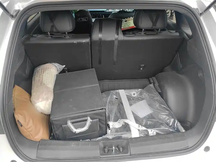 Toyota Platinum Wisdom 4X