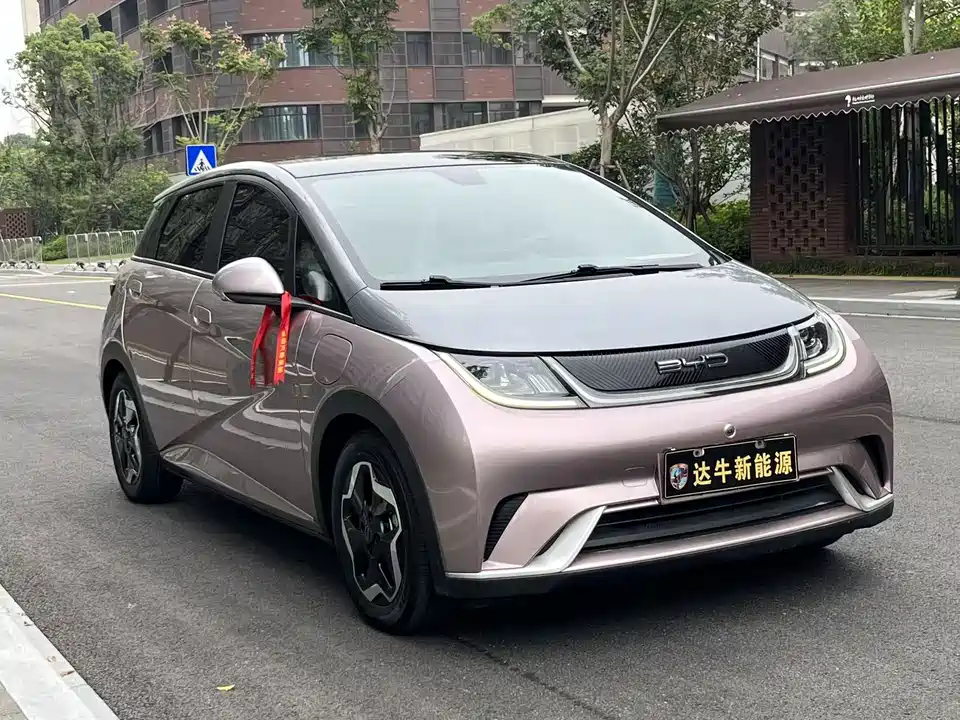 BYD dolphin
