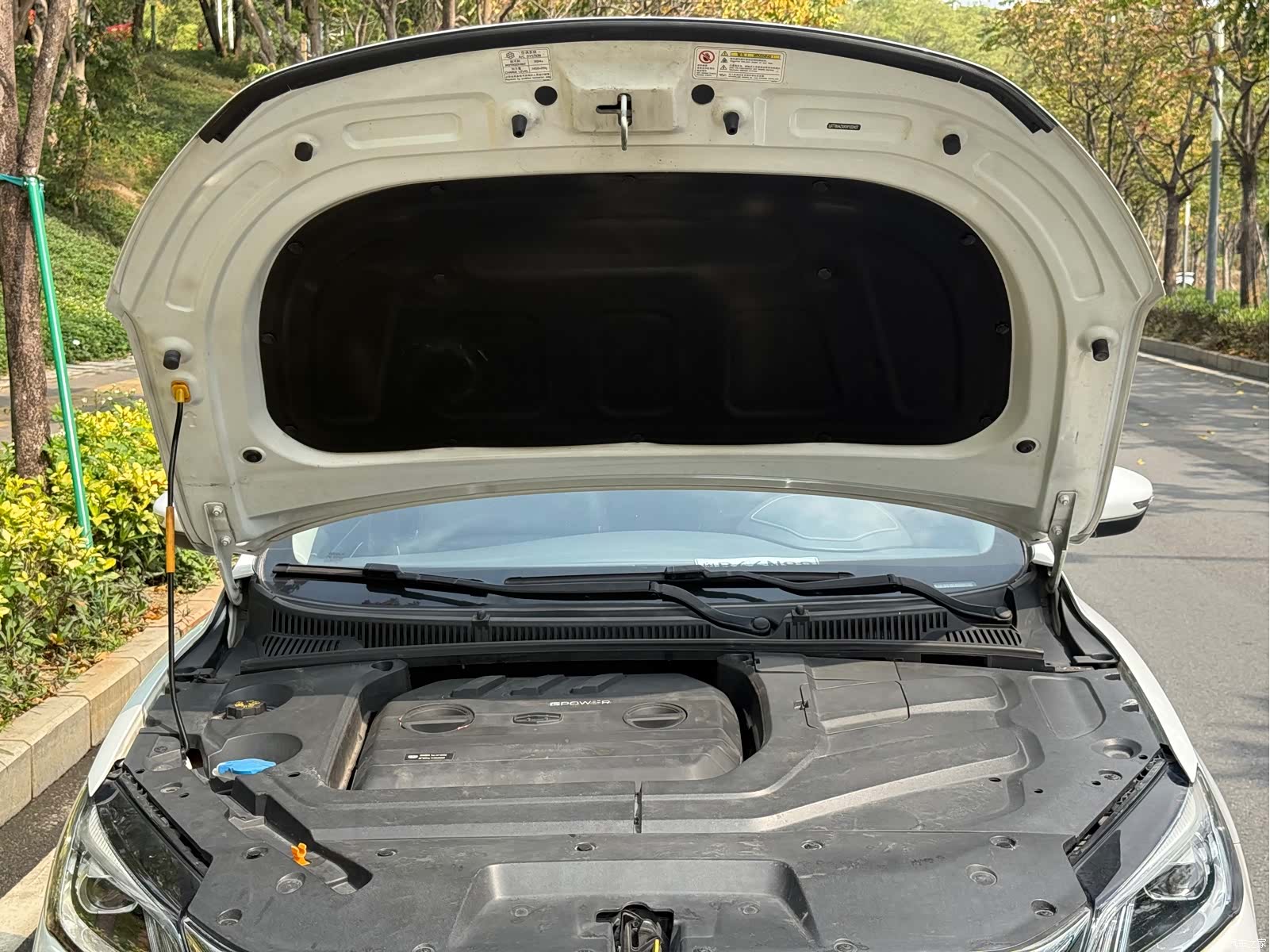 Geely Binray, 2019 16