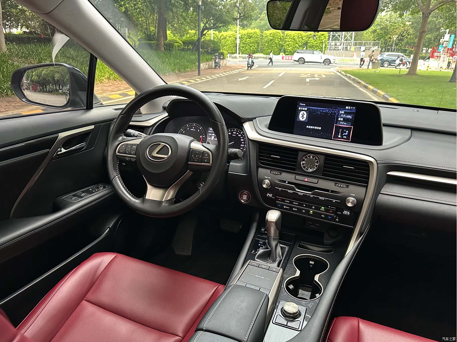 Lexus RX, 2021 13