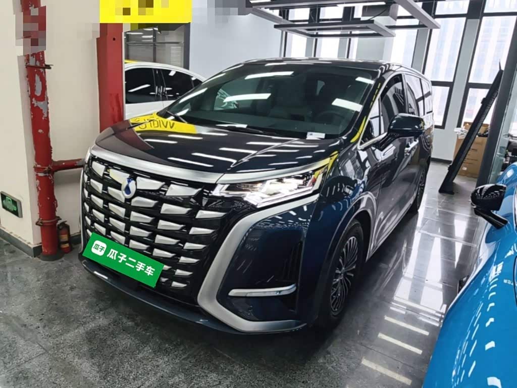 Denza D9