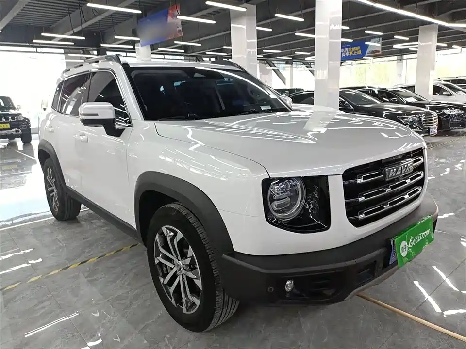Haval Big dog