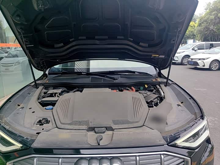 Audi e-tron 2019 55 quattro Style