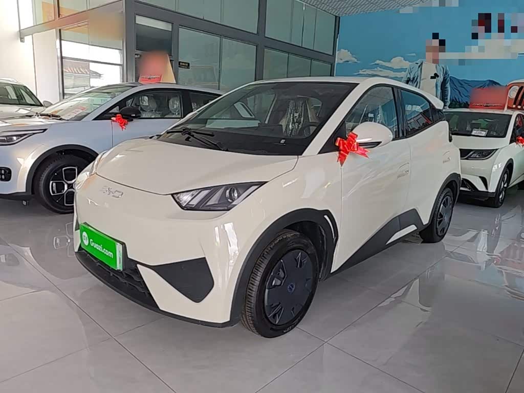 BYD Seagull