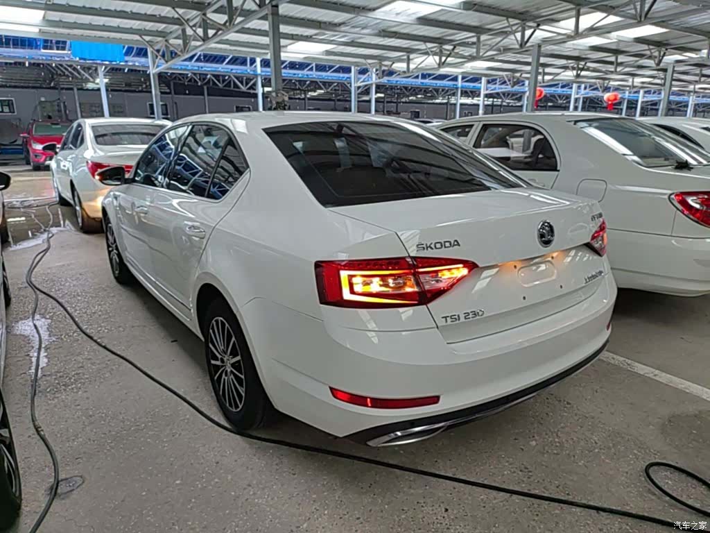 Skoda Octavia, 2017 все фото
