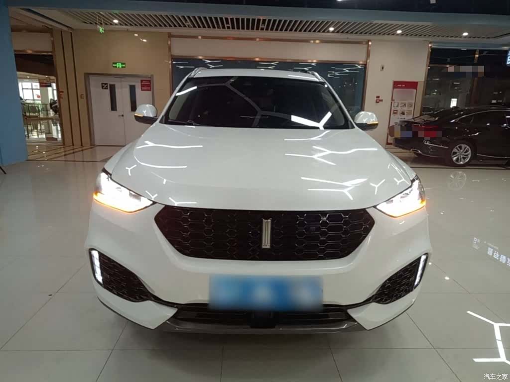 WEY VV6, 2018 3