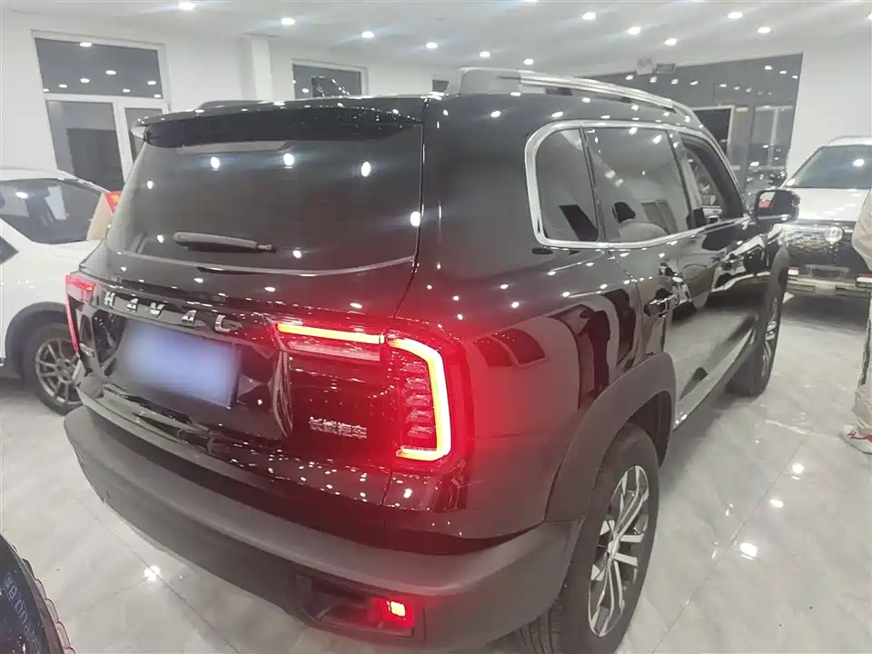Haval Big dog