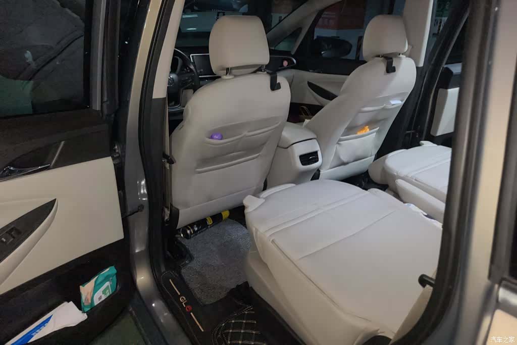 Buick GL6, 2018 11